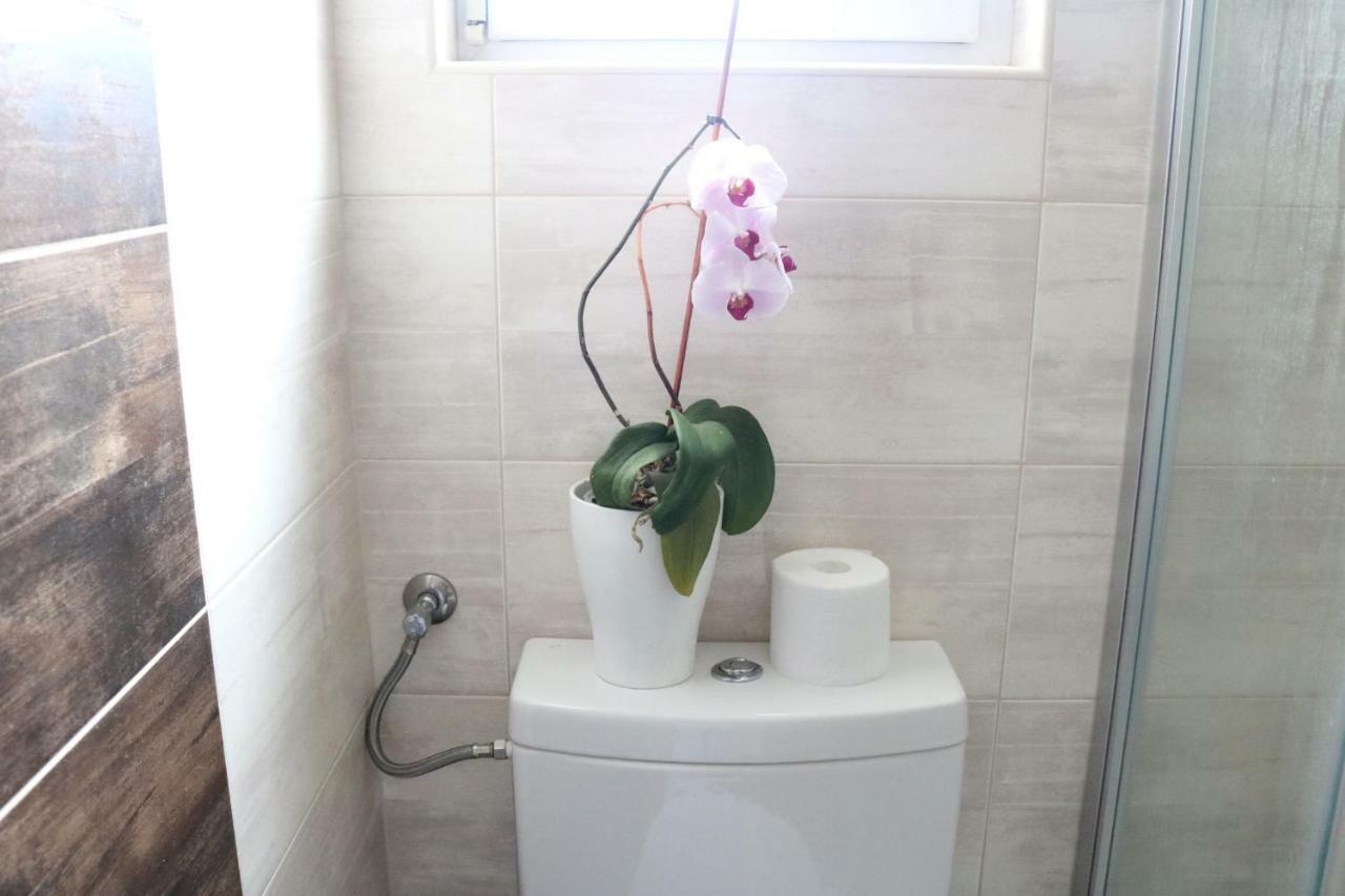 Apartments Ela トロギール エクステリア 写真